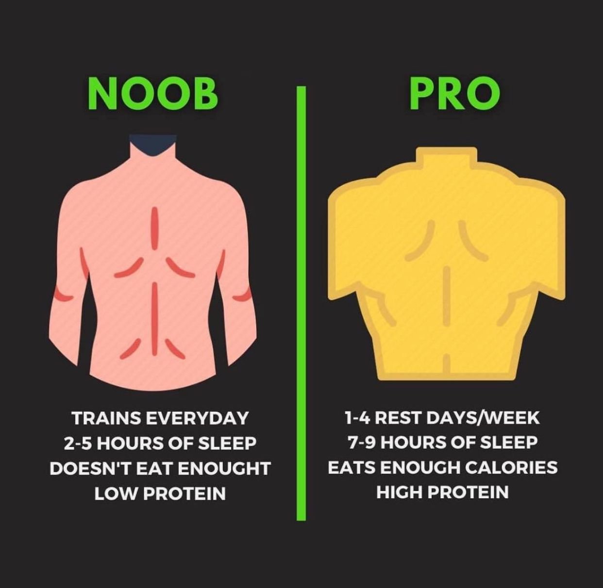 Mosh Fitness training infographic